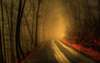 Foggy road impregnated fear.